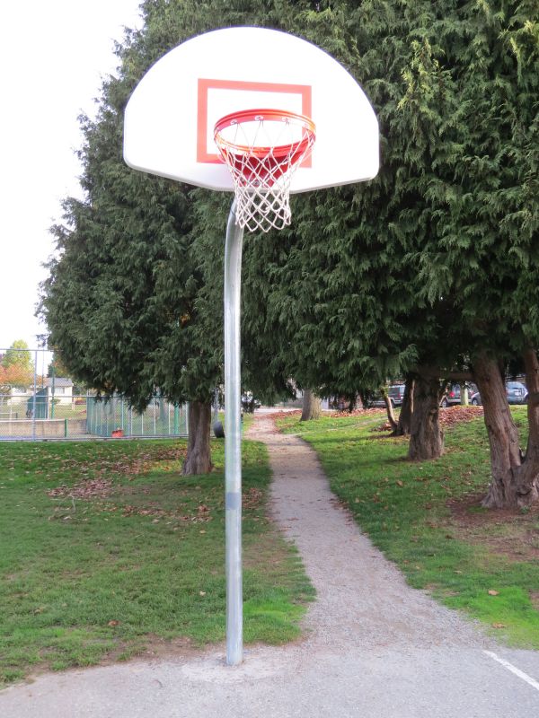 Backboard Installation in Boulder, CO